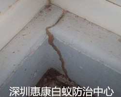ρΣĔUɢD(zhun);